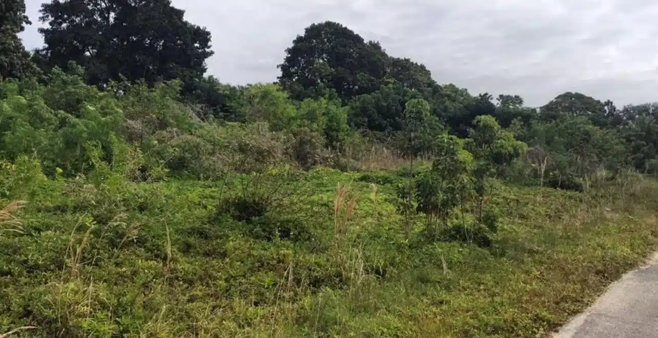 Photo+Aug+12+2025,+8+33+28+PM+(3)